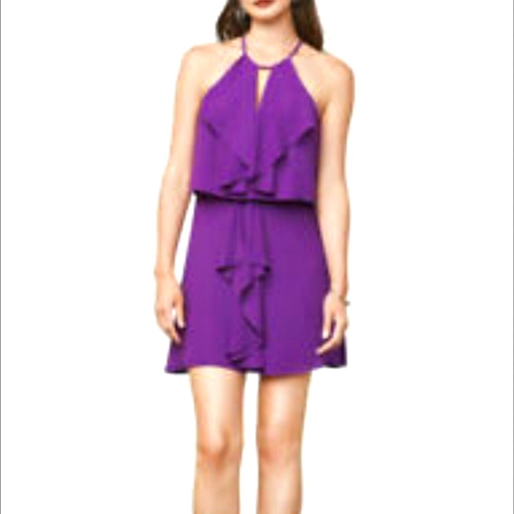 Bcbgmaxazria caylan dark orchid purple dress extra small